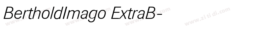 BertholdImago ExtraB字体转换